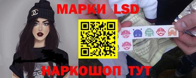 гидропоника Камышлов