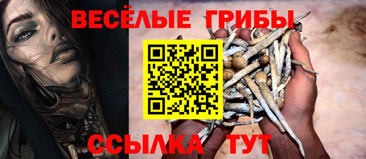 Псилоцибиновые грибы Magic Shrooms Буйнакск