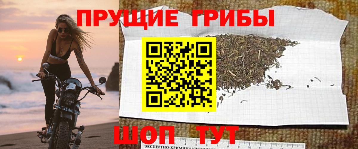 Галлюциногенные грибы GOLDEN TEACHER  Вход с VPN  Буйнакск 
